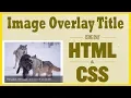 Hover Image Overlay Title in HTML CSS Tutorial