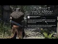 Skyrim Mods Could BREAK in the Next Update Do This NOW