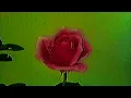 bliss (w / ocean jams) -- minthaze  (visuals)