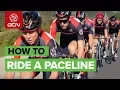 How To Ride In A Pace Line Cycling Group Ride Tips