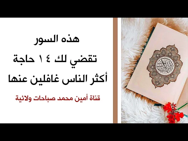 هذه السور تقضي ١٤ حاجة لك أكثر الناس غافلين عنها