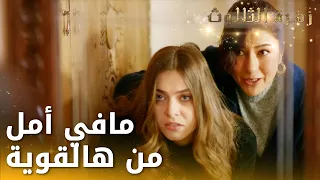 مافي أمل من هالبنت قد ما أمها ربتها  - الحلقة 116 - زهرة الثالوث