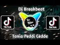 Download Lagu Dj Breakbeat Tania Peddi Cedde
