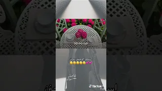 اصالة احبك يا اغالي اقداري مجرد ذوق  اصالة احبك يا اغالي اقداري مجرد ذوق