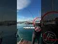 Download Lagu How to catch real fish with fake fish?