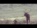 Colorado GMU Unit 36 Hunting Information