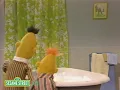 Sesame Street: Bert And Ernie Water Sports