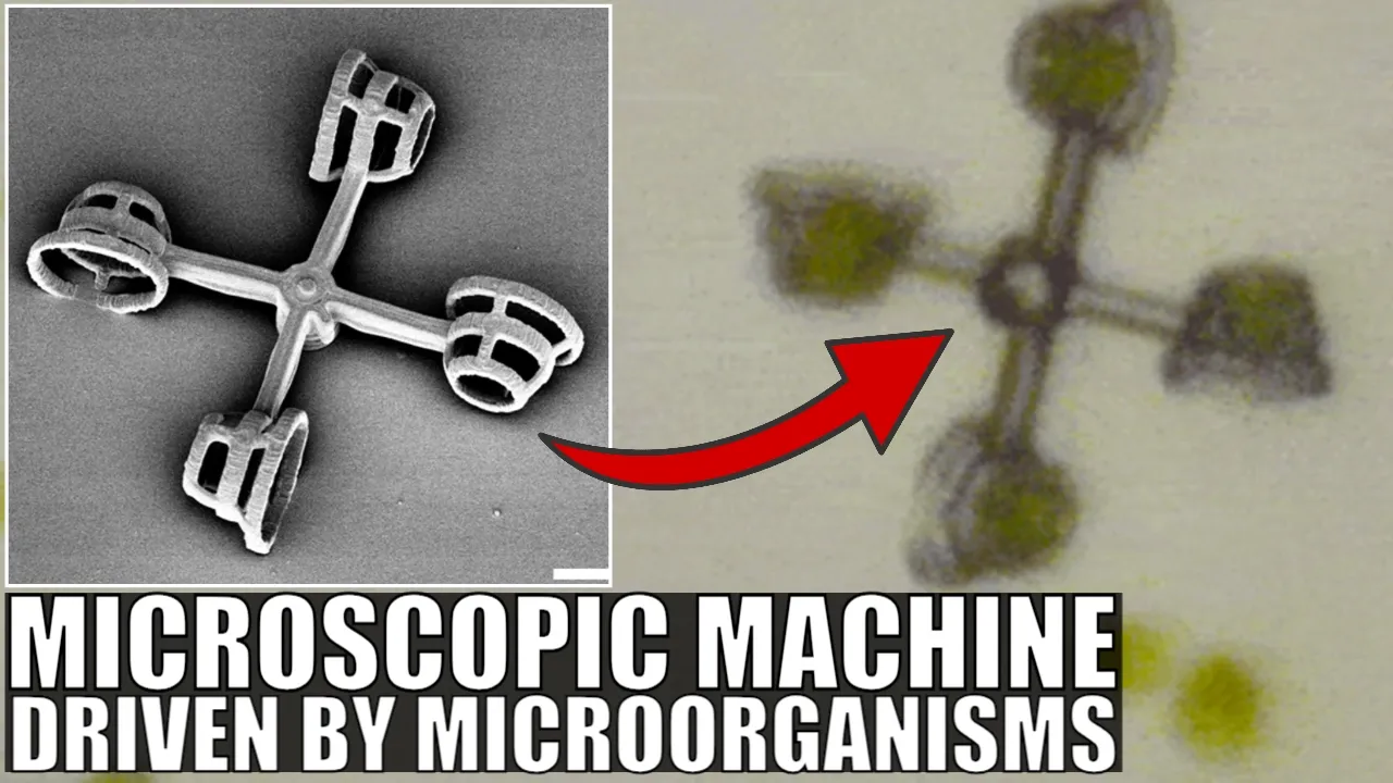 Wow! Someone Made Nanobots By Strapping Tiny Chariots To Green Algae