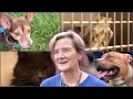 Clear the Shelter adoption drive in Henrico features animals from multiple Virginia shelters