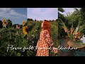 Download Lagu The Yearly Flower field Trip, Golden Hour \u0026 Self Forbearance