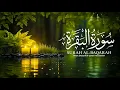 Download Lagu Surah Al-Baqarah Full | Beautiful Recitation for Peace \u0026 Protection (HD), By Sheikh Mishary Afasy