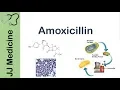 Amoxicillin Bacterial Targets Mechanism of Action Adverse Effects Antibiotic Lesson