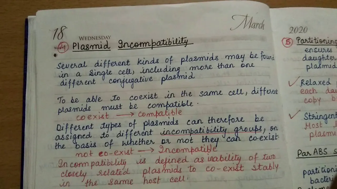 Bacterial plasmids 2