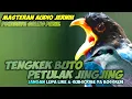 Download Lagu MASTERAN AUDIO JERNIH TENGKEK BUTO VS PETULAK JINGJING || TENGKEK BUTO GACOR || PETULAK JINGJING