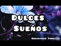 DULCES SUENOS FELIZ DESCANSO GIF DE BUENAS NOCHES MENSAJES DE BUENAS NOCHES ABRELO