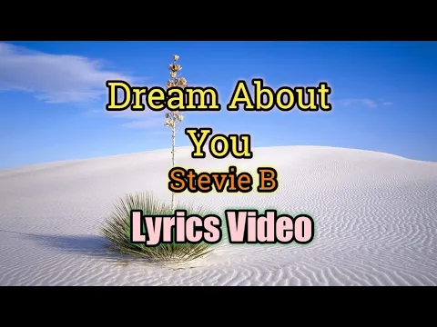 Download MP3 Dream About You - Stevie B (Lyrics Video)