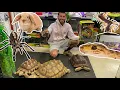 THE SMALLEST CRAZIEST PET SHOP EVER SO MANY DIFFERENT PETS