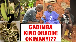 gadimba kino obadde okimanyi