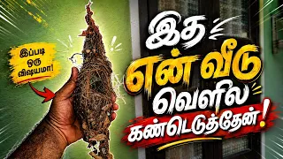 வீட்டு வாசலுக்கு வெளியே கிடந்தது என்ன? பார்த்ததும் அதிர்ச்சி! 😱