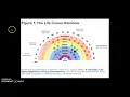 Life-Career Rainbow and Psychology of Careers Donald Super career development theory