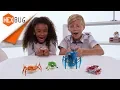 HEXBUG - Micro Robotic Creatures