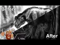 Hell Hound - Simply Sketchy