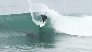 Swamis served up clean morning waves for all kinds of surfboards today