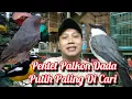 Lagu JING JING BETULAK, PENTET PALKON HARGA MUSIM HUJAN JUAL MURAH 