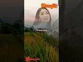 Download Lagu munafik cover Anisa Rahma #dangdut #cover #musikhiburan #dangdutkoplo #shorts #anisarahma