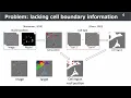 Weakly Supervised Cell-Instance Segmentation with Two Types of Weak Labels by Single Instance Pasti