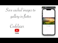 Save cached image flutter to roll in flutter