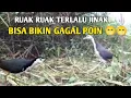 Download Lagu .Fuul vidio mikat ruak mengunakan jerat racik..hasil nya teryata ...