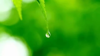 مراحمك يا الهي للشماس بولس ملاك دندنها