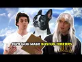 God Makes Boston Terriers