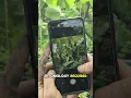 AI Garden Pest Identifier - Solve Your Garden Pest Problems