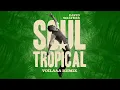 David Walters - Soul Tropical (Voilaaa Remix) {Official Audio}