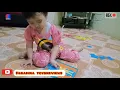 Download Lagu Puzzle smart hafiz Al Qolam (Part 3)