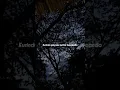 Download Lagu cover KURINDU GAYAMU KETIKA BERMANJA...(gala_gala) viral ditiktok/status wa
