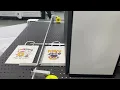 Single pass digital printer with variable data printing