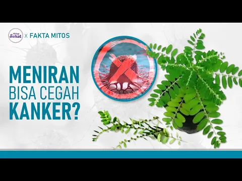 Sering Tumbuh Liar, Benarkah Daun Meniran Bisa Mencegah Kanker?