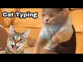 Cat Typing Meme Template Motherboard Bois