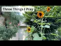 Three Things I Pray