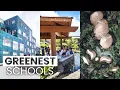The Most Eco-Friendly Schools Green Schools Around the World