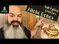 Ball Python Genetics Allelic Genes