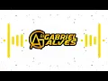 Download Lagu Xote De Pegada - Só Alegria