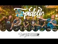 Download Lagu Tropidelic - Visual LP (Live Acoustic) | Sugarshack Sessions