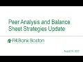 Peer Analysis and Balance Sheet Strategies Update - August 2023