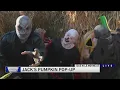 Weekend Break Jack s Pumpkin Pop-Up