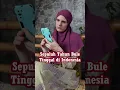 Download Lagu AKIBAT BULE TINGGAL DI INDONEISA 10 TAHUN