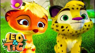 Magic in the forest 🦁 Leo and Tig  LIVE 🔴 Funny Family Good Animated Cartoon for Kids